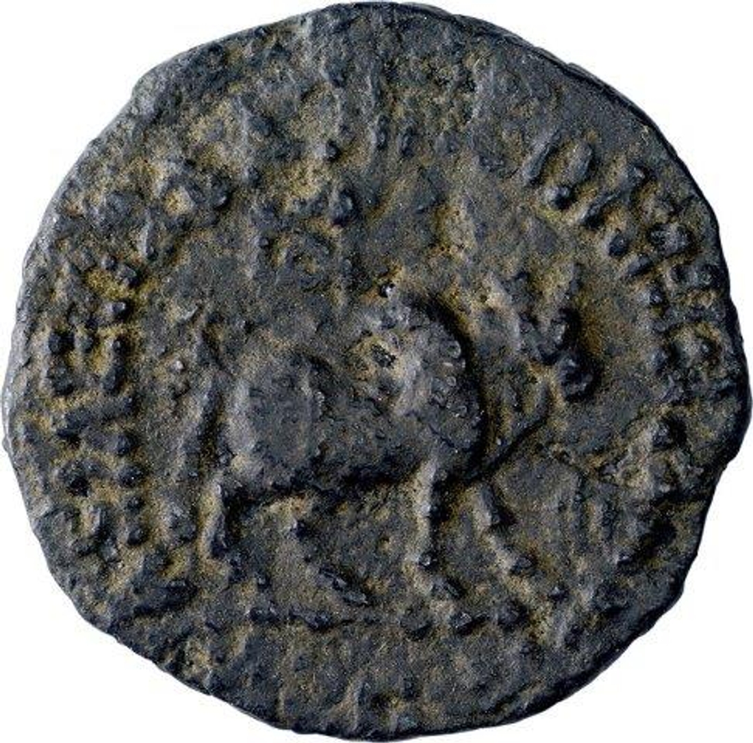 P auction images