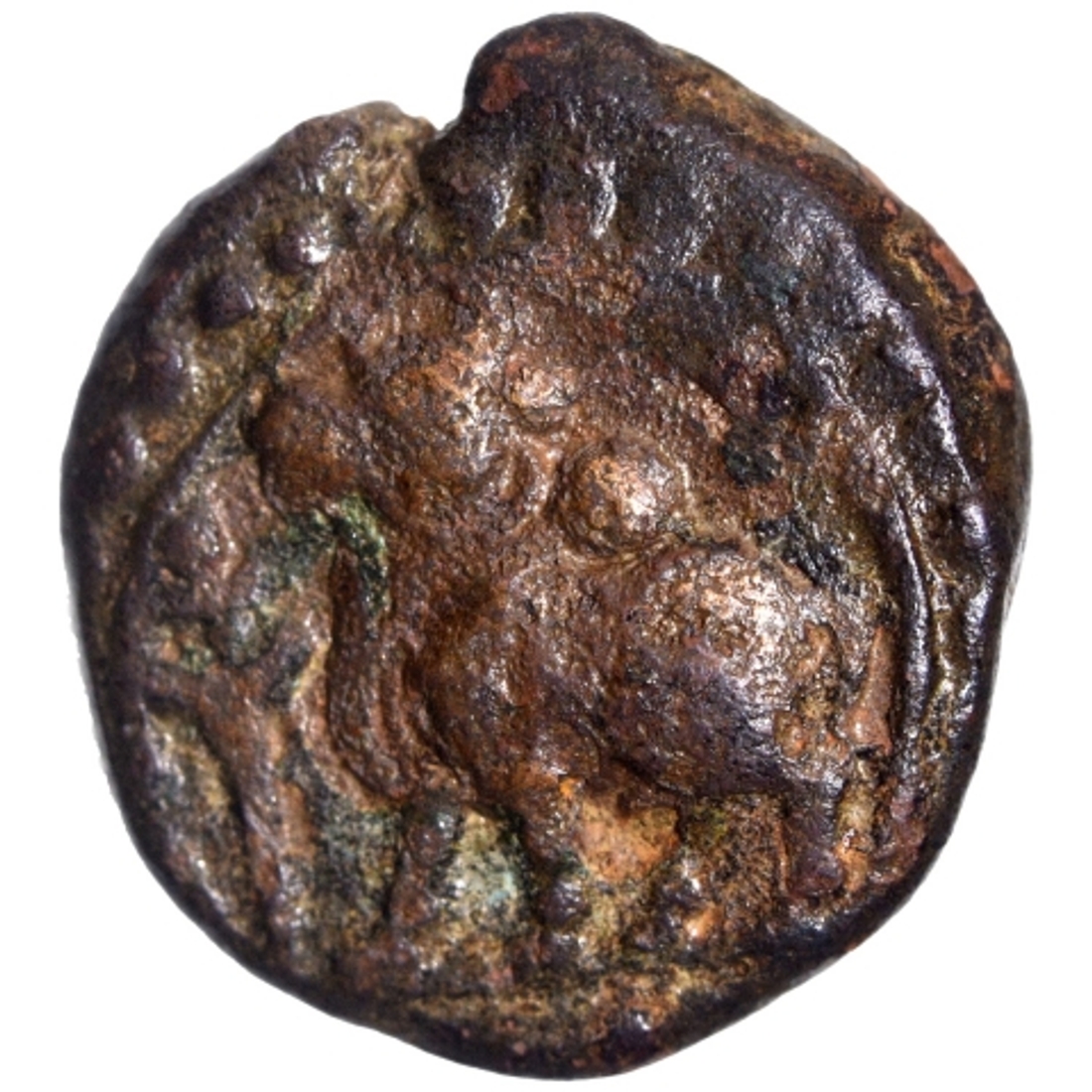 P auction images