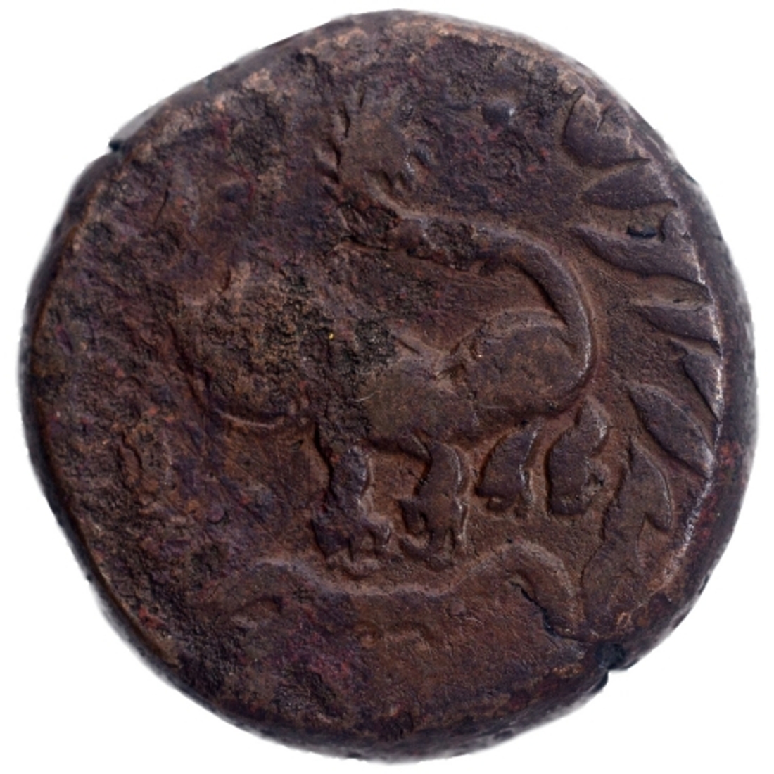 P auction images