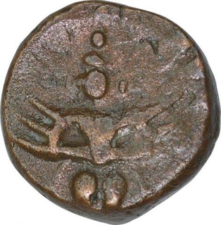 Copper Kasu Coin of Achyutadevaraya of Tulva Dynasty of Vijayanagara Empire.