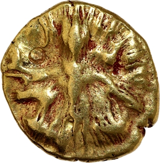 Rare Gold Half Varaha Coin of Krishnadevaraya of Tuluva Dynasty of Vijayanagara Empire.