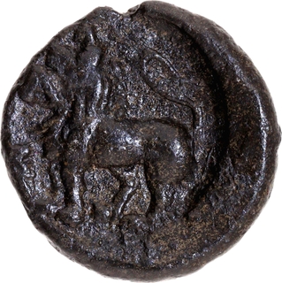 Very Rare Bronze Coin of Maharathis of Rayalaseema of Veerapuram Lion Series