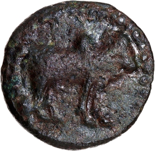 Very Rare Copper Alloy Coin of Pallavas of Kanchi of Bull and Vessel type.