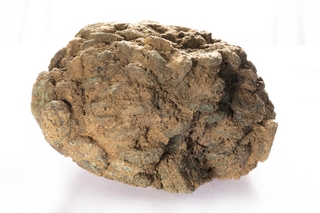 Extremely Rare Copper Coins Lump (Coin Hoard) of Panchalas of Ahichchatra.