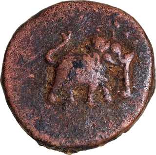 Tipu Sultan Copper Paisa (Zohra), Mysore Kingdom, Bengalur Mint, Undated – Elephant Right, Persian Mint Name | Unlisted, Rare.