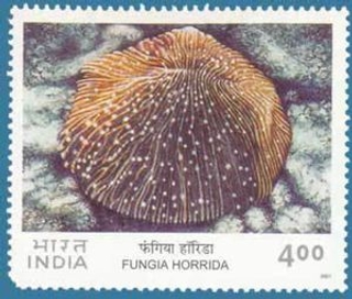 Corals of India Mint Stamp Issued in 2001 by India.