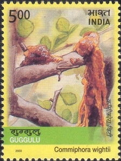 Stamps of India 2003 Medicinal Plants of India.