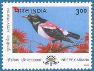 The 2000 India Mint Stamps at Indepex Asiana 2000 in Calcutta.